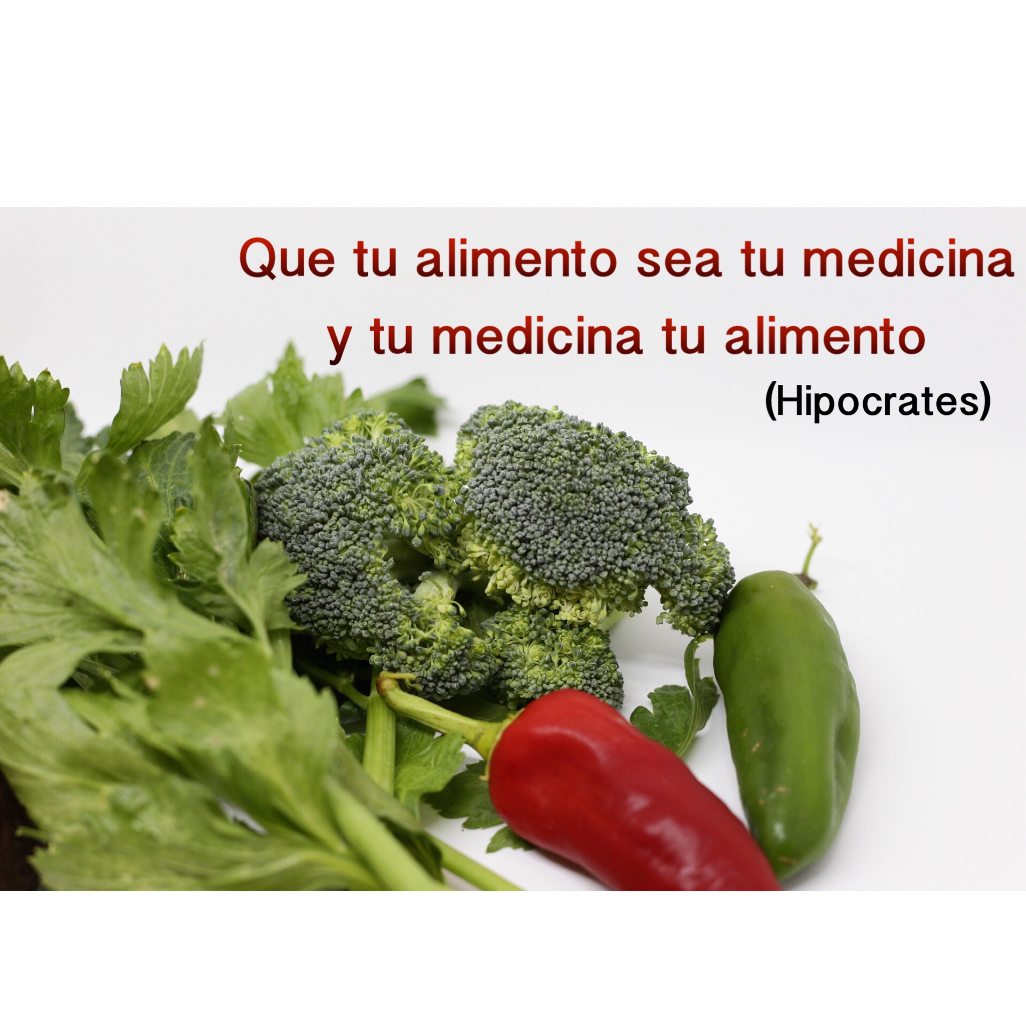 Que tu alimento sea tu medicina y tu medicina tu alimento - Bio-Cocina